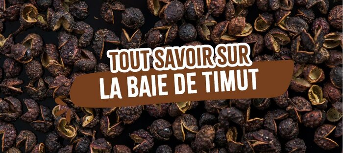 tout-savoir-baie-timut 